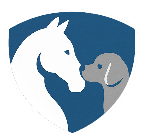 The Dapo Ojora Foundation logo